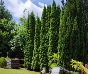 Ferienwohnung Waldblick - Bild 1